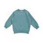 Picture of RAMO Kids' Cotton Care Sweatshirts F368KS