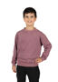 Picture of RAMO Unisex Stone Wash Sweatshirts F800CW