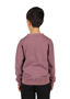 Picture of RAMO Unisex Stone Wash Sweatshirts F800CW