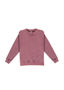 Picture of RAMO Kids' Stone Wash Sweatshirts F800KS